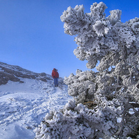Зима на верхнем плато Чатыр-Дага