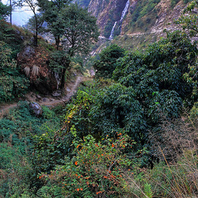 Гималайскими тропами