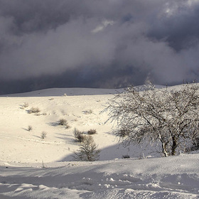 Зима на нижнем плато Чатыр-Дага